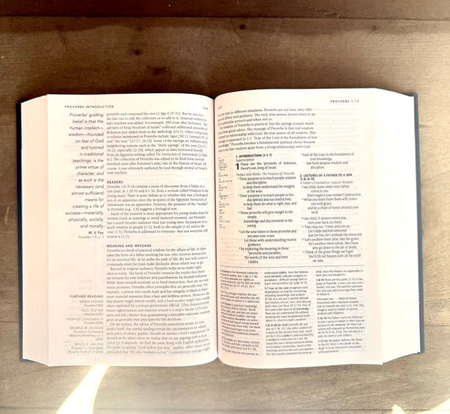 The Lord is My Shepherd | NLT Study Bible