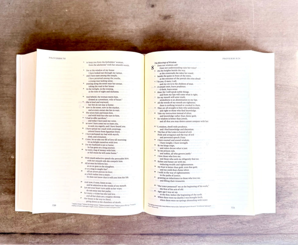 Blue Bows Customizable Bible