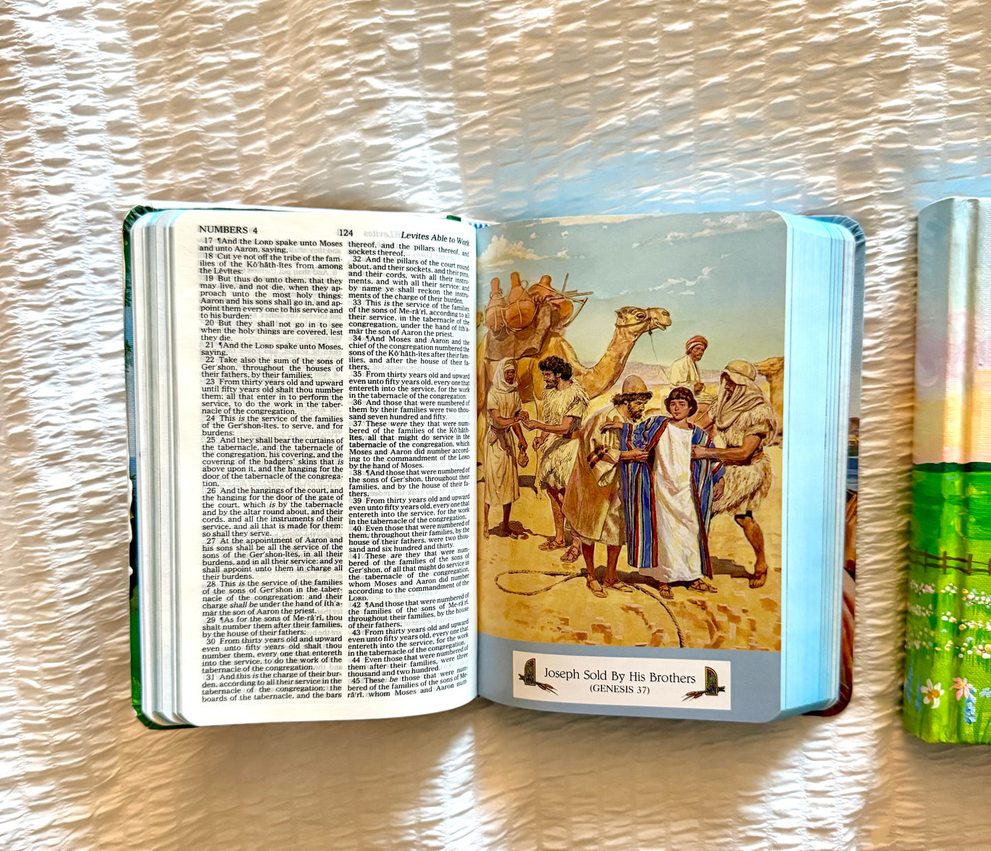 Holy Garden KJV Children's Bible