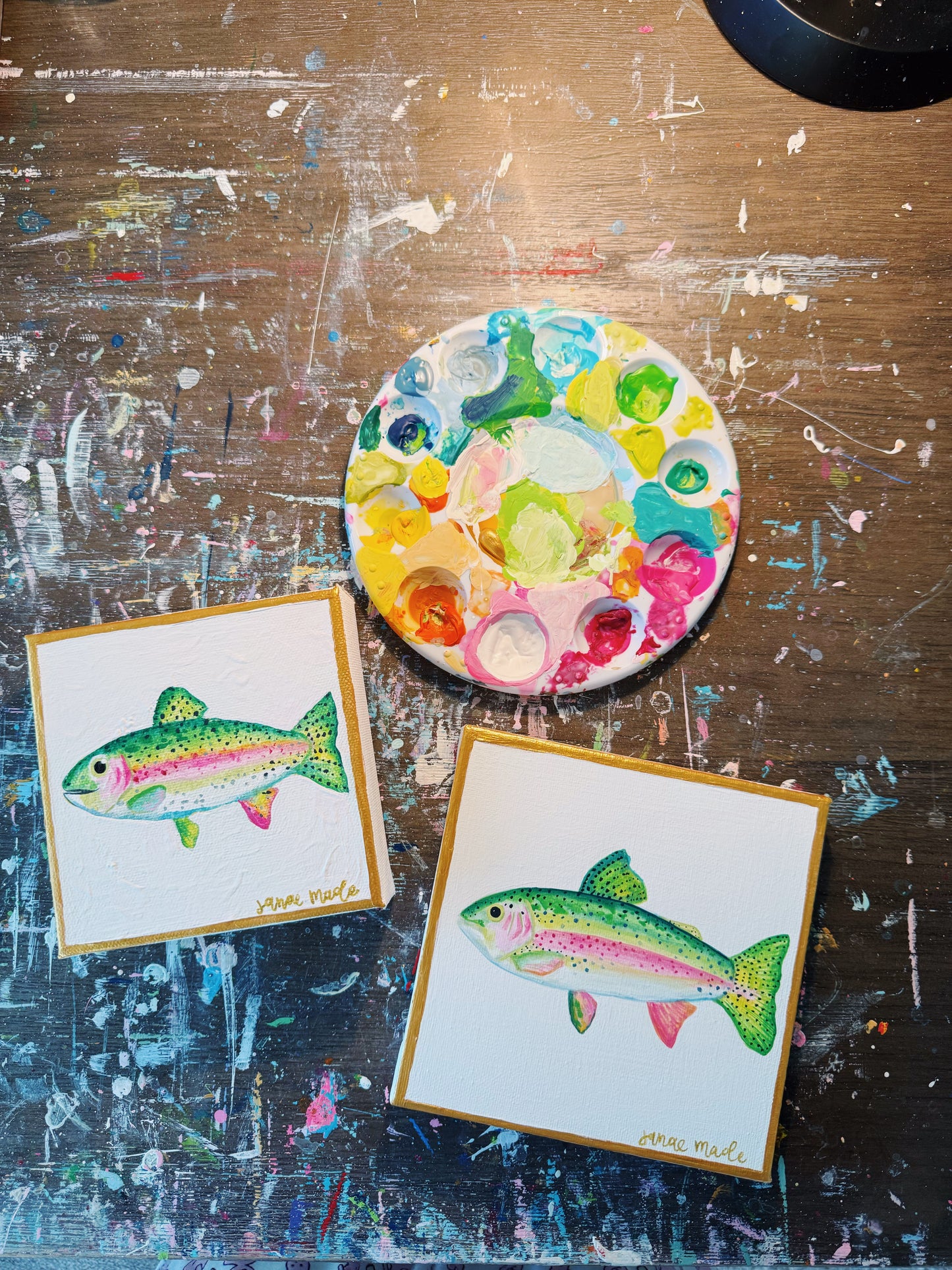 Rainbow Trout Mini Canvas