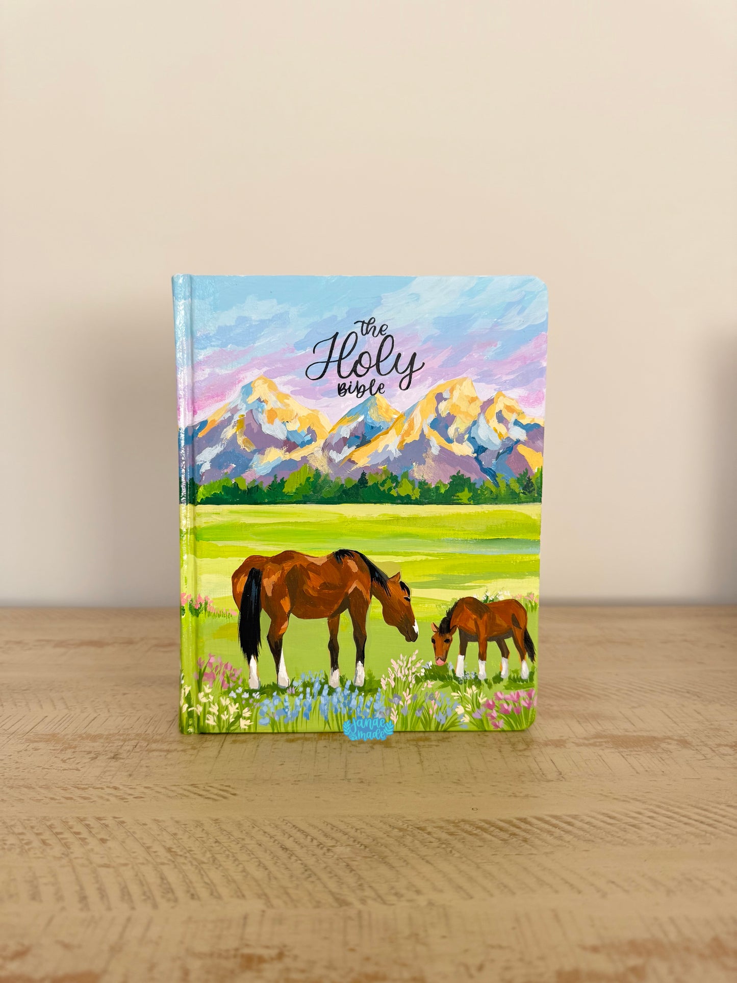 Big Sky Country | KJV Journaling Bible