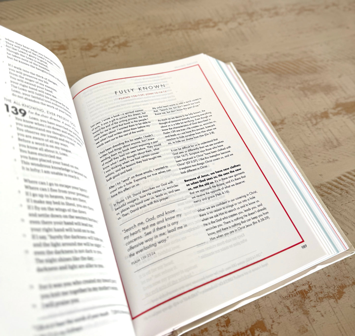 Mallards in Flight | She Reads Truth Bible