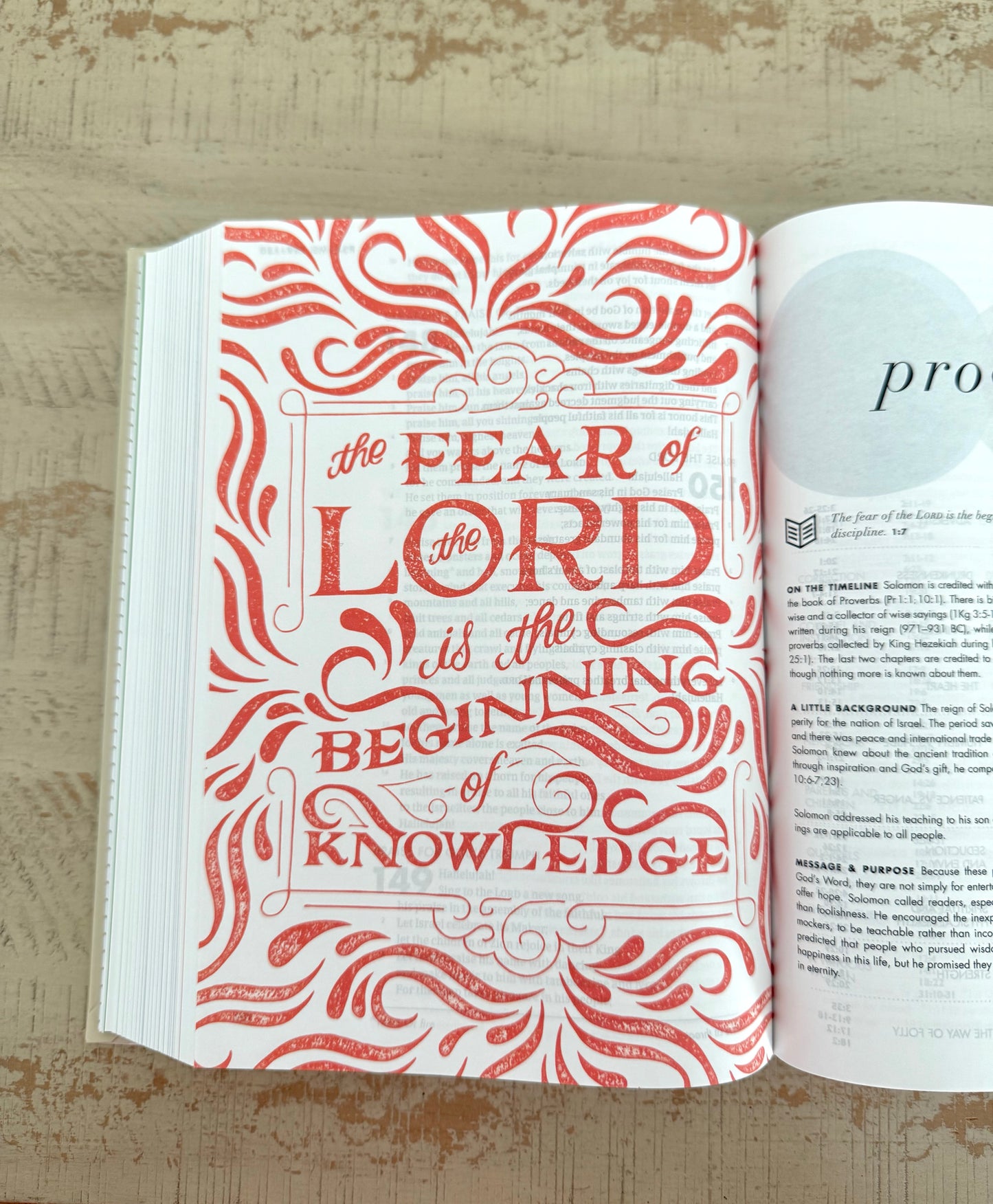 Mallards in Flight | She Reads Truth Bible