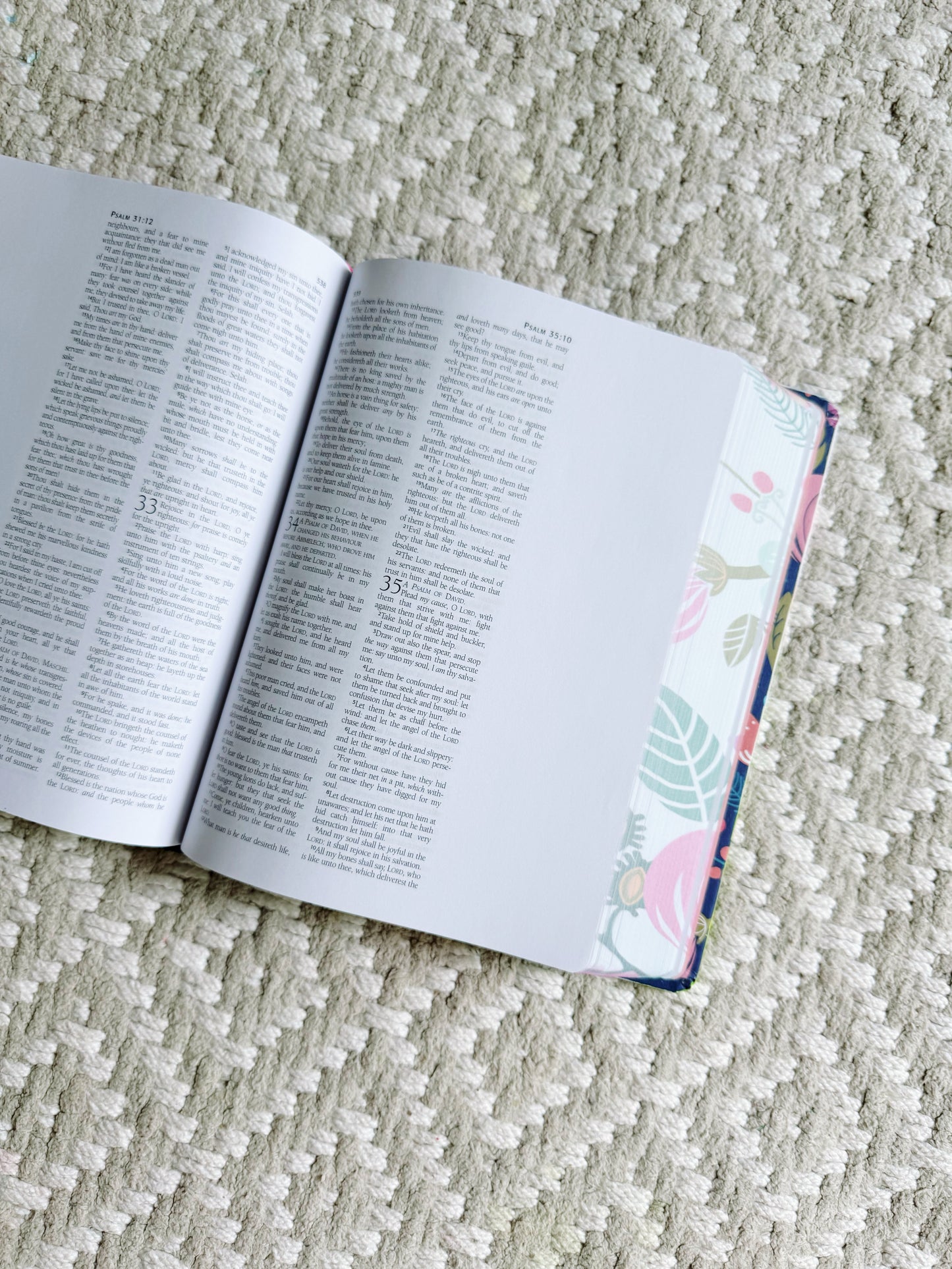 The Savior at Sunrise | KJV Journaling Bible
